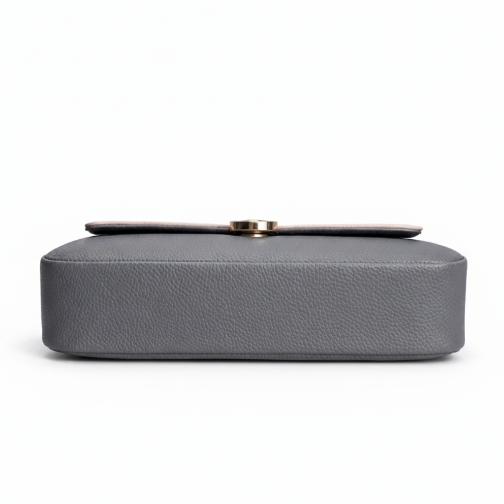 Gray handbag with a gold clasp on a white background
